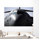 Close-up Front C-17 Globemaster Wall Decal