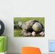 Airman Crawls through Wet Wall Decal