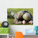 Airman Crawls through Wet Wall Decal