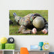 Airman Crawls through Wet Wall Decal