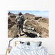 Afghan National Army and Wall Decal