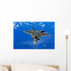 Us Air Force F-22 Wall Decal Design 6