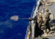 Sailors aboard Uss Fort Wall Decal