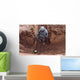 Us Army Specialist Searches Wall Decal