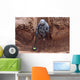 Us Army Specialist Searches Wall Decal