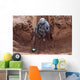 Us Army Specialist Searches Wall Decal