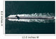 Aerial Sailors Lined up Wall Decal