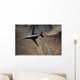 B-1b Lancer Maneuvers over Wall Decal