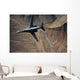 B-1b Lancer Maneuvers over Wall Decal