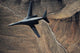 B-1b Lancer Maneuvers over Wall Decal