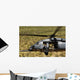 Hh-60 Pave Hawk Flies Wall Decal
