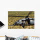 Hh-60 Pave Hawk Flies Wall Decal