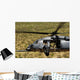 Hh-60 Pave Hawk Flies Wall Decal