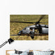 Hh-60 Pave Hawk Flies Wall Decal