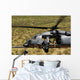 Hh-60 Pave Hawk Flies Wall Decal