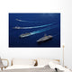 Uss Bunker Hill Usns Wall Decal