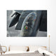 Pilot Onboard Us F-15e Wall Decal