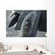 Pilot Onboard Us F-15e Wall Decal