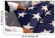 Sailors Assigned to Colors Wall Decal