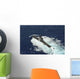 Republic Korea Submarine Roks Wall Decal