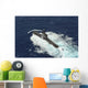 Republic Korea Submarine Roks Wall Decal
