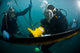 Us Navy Diver Instructs Wall Decal