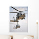 Two Multi-mission Mh-60r Sea Wall Decal