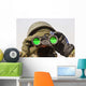 Afghan Soldier Scans Horizon Wall Decal