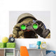 Afghan Soldier Scans Horizon Wall Decal