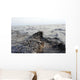 Part Oil Slick Gulf Wall Decal