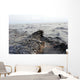 Part Oil Slick Gulf Wall Decal