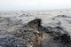 Part Oil Slick Gulf Wall Decal