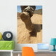 Us Soldier Walks along Wall Decal