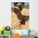 Us Soldier Walks along Wall Decal