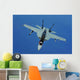 Us Navy F A-18f Wall Decal