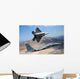 F-22 Raptor Aircraft Peels Wall Decal