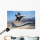 F-22 Raptor Aircraft Peels Wall Decal