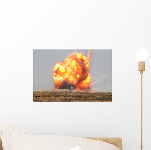 Controlled Detonation Is Set Wall Decal