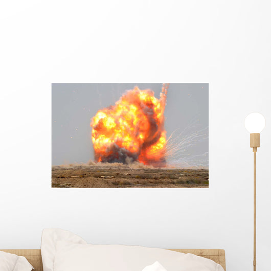 Controlled Detonation Is Set Wall Decal
