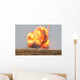 Controlled Detonation Is Set Wall Decal