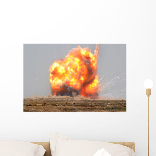 Controlled Detonation Is Set Wall Decal