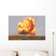 Controlled Detonation Is Set Wall Decal