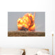 Controlled Detonation Is Set Wall Decal