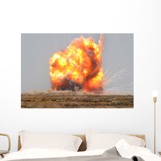 Controlled Detonation Is Set Wall Decal