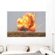 Controlled Detonation Is Set Wall Decal