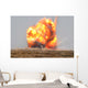 Controlled Detonation Is Set Wall Decal