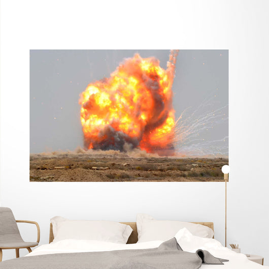 Controlled Detonation Is Set Wall Decal
