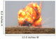 Controlled Detonation Is Set Wall Decal