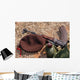 Rifle Military Cover and Wall Decal