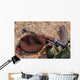 Rifle Military Cover and Wall Decal